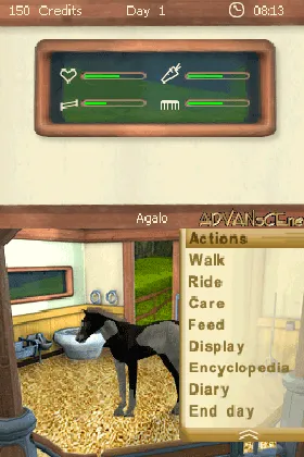 Real Stories - Best Friends - Mon Poulain, Mon Cheval (Europe) (En,Fr,De,It,Sv,No,Da) screen shot game playing